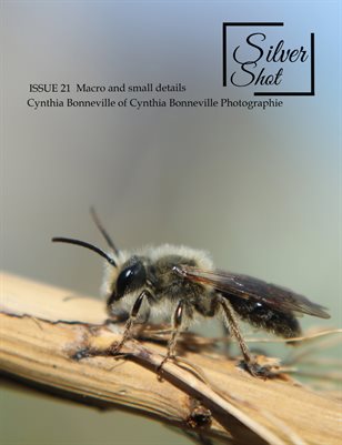 issue21 Macro and small details