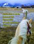 February 2019 Pony Pals Magazine - Vol.8 #9
