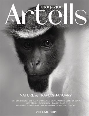 ARTELLS MAGAZINE - NATURE & TRAVELS JANUARY (Vol 3805)
