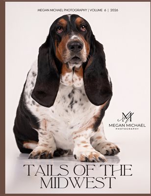 Publication preview
