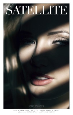 Publication preview