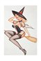 Classic Pin-Up with a Broom
