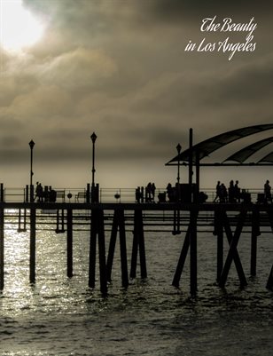 The Beauty in Los Angeles