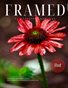 Framed Photographer Magazine, Issue 177