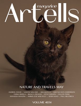 Publication preview