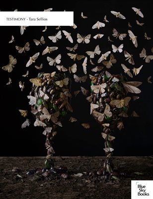 Testimony - Tara Sellios