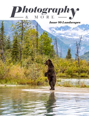 Issue 99 Landscapes