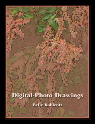 Digital-Photo Drawings