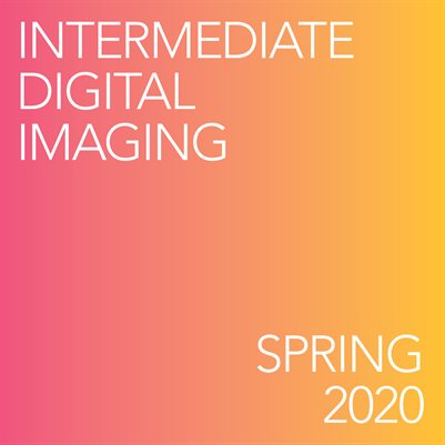 Photo 115: Intermediate Digital Imaging