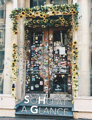 Art 4900 Final Project 