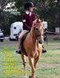April 2013 - Pony Pals Magazine - Vol. 2 #11