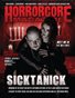 Issue 31 - Sicktanick & Meet Me In The Matinee