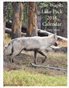 Wapiti Lake Pack of Yellowstone, 2018 Calendar