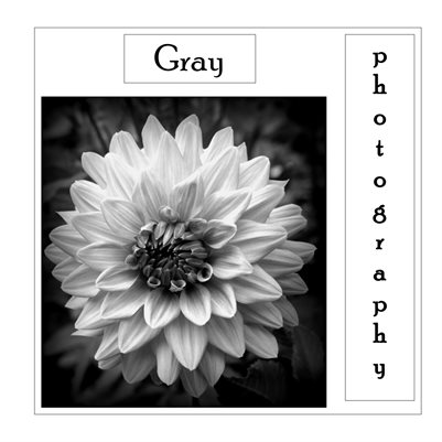 Gray Photography