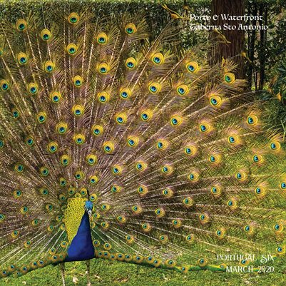 Portugal Six 2020