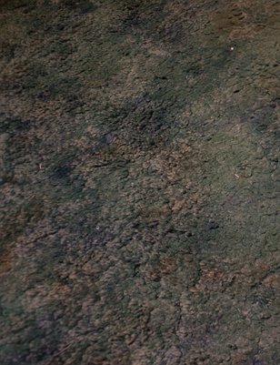 Back Where The Yard Begins 