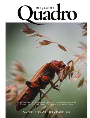 cover_thumbnail