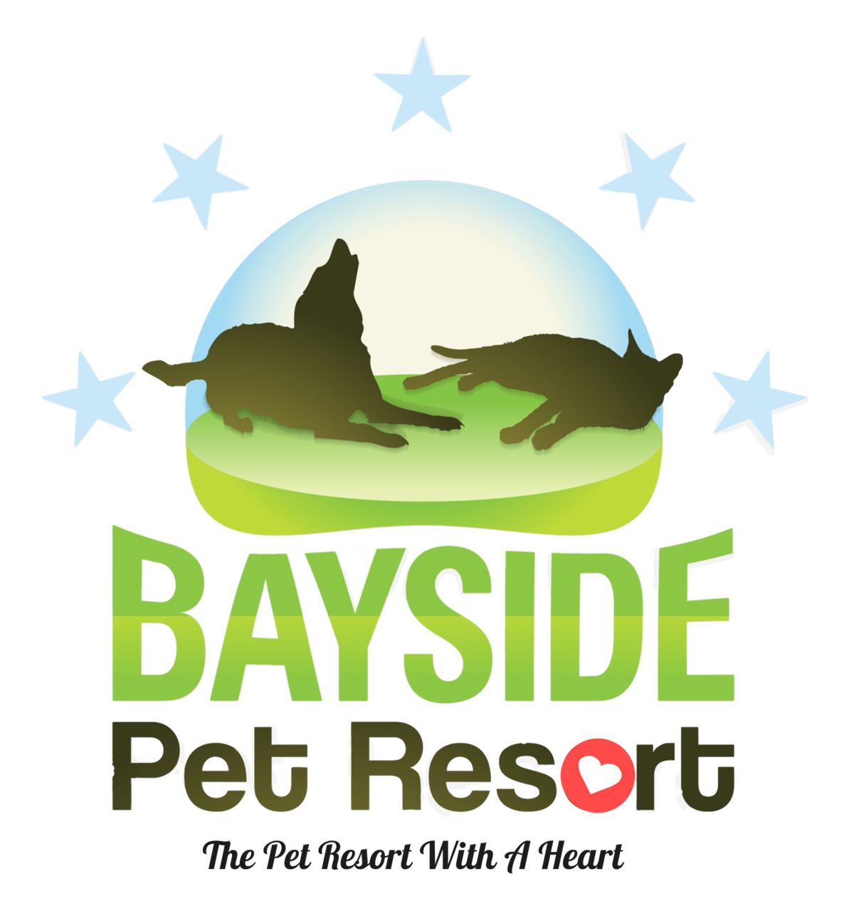 Bayside Pet Resort Dedicates Itself To Pet Services, Excellence, And