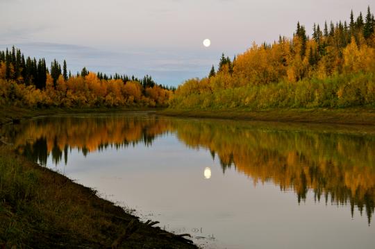 Acupuncture in the News - Five Element Acupuncture of Anchorage in Anchorage Alaska