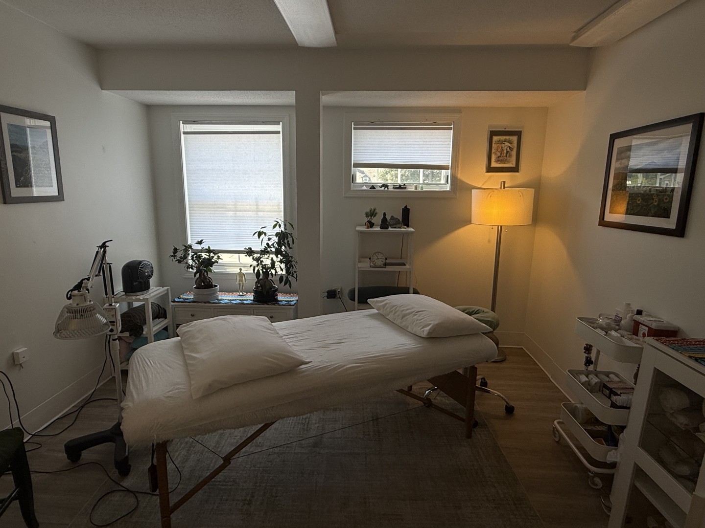 Karolyn "Midgie" Franz offers Acupuncture, Cupping, Herbs &amp; Health Coaching in Keene, NH
