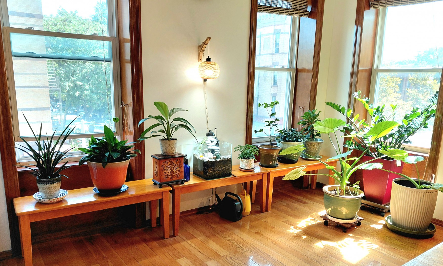 Doraji Acupuncture offers Acupuncture in Brooklyn, NY