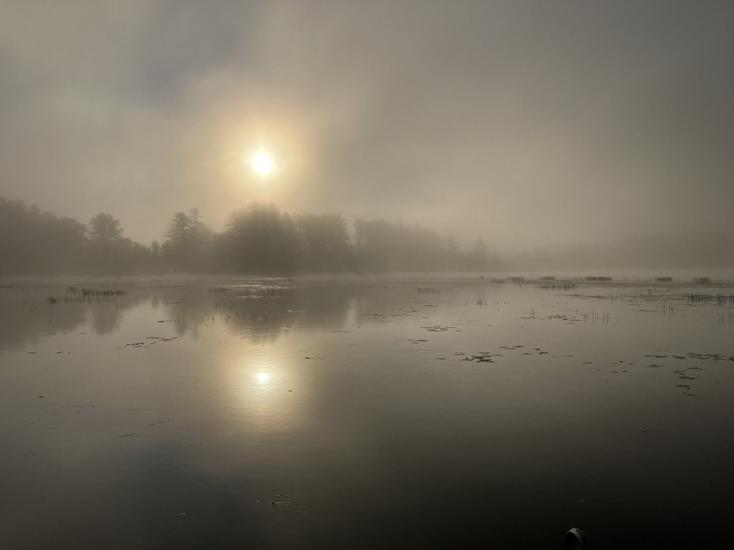 SEMINAR: Gentle Japanese Techniques - Good Hearth in Rockland, Maine