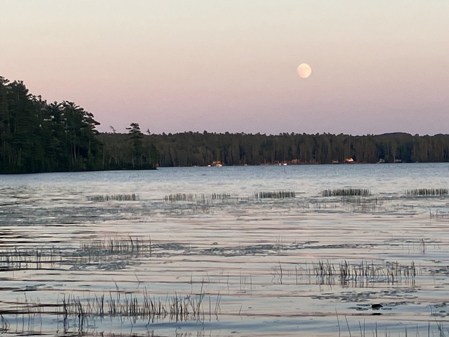 Tobey Williamson offers Acupuncture / Herbal Medicine / Immune Support in Rockland, Maine