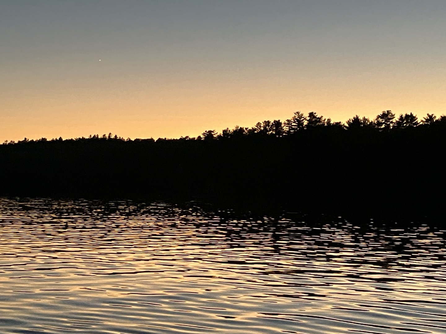 Tobey Williamson offers Acupuncture / Herbal Medicine / Immune Support in Rockland, Maine