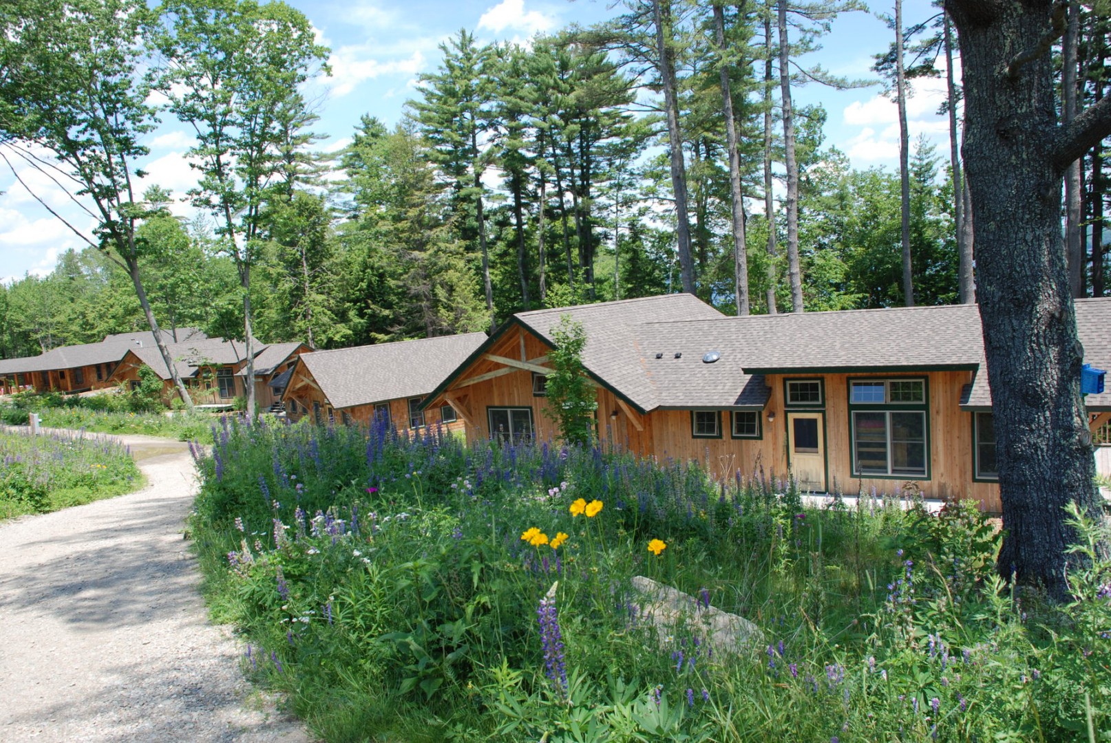 Good Hearth offers safe, effective Acupuncture / Herbal Medicine / Immune Support in Rockland, Maine