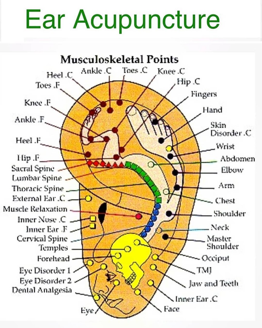 Dr. Katherine Echo Kim, LAc offers Acupuncture, Nutrition, Feng Shui, Astrology in Westport, Fairfield, CT