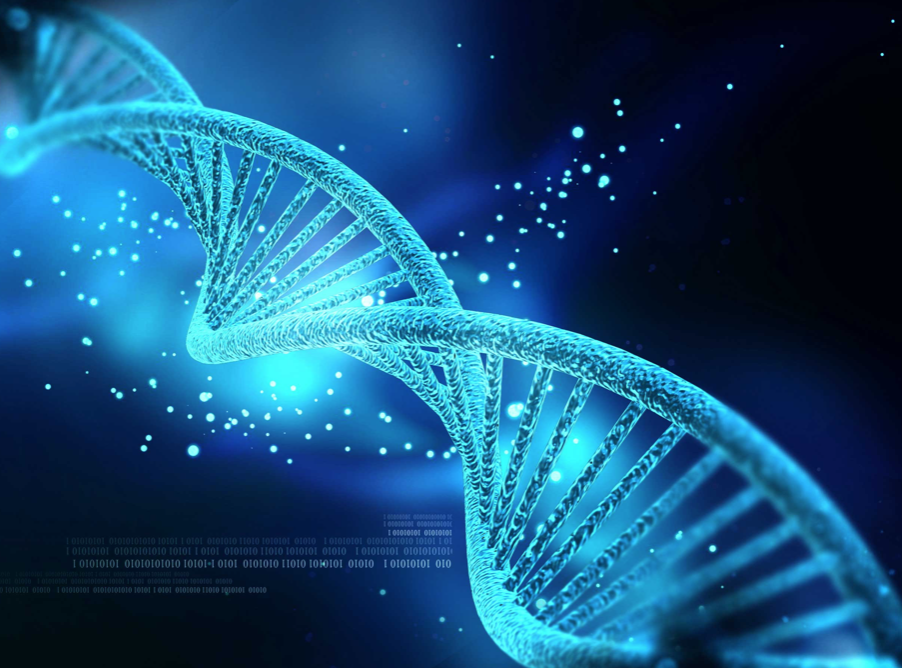 Regenerative & Longevity Medicine - Marin Holistic Health &amp; Acupuncture in Fairfax, CA