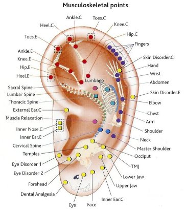 Gabe Schiff-Verre offers Acupuncture in South Portland, Maine