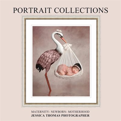 New Publication