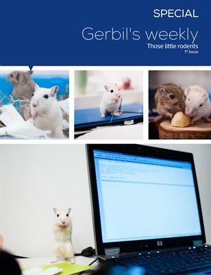 Gerbils