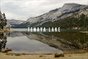 Tenaya Lake Poster