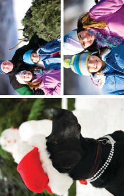 Left-Fold Card Template with Three Photos