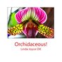 Orchidaceous!