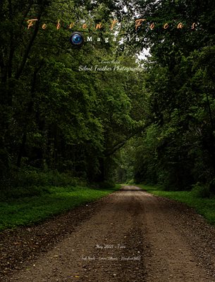 Fervent Focus Magazine: Issue #67 Trees