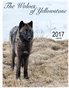 The Wolves of Yellowstone calendar 2017