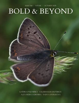 Bold & Beyond Nature (Issue 591 October 2025)