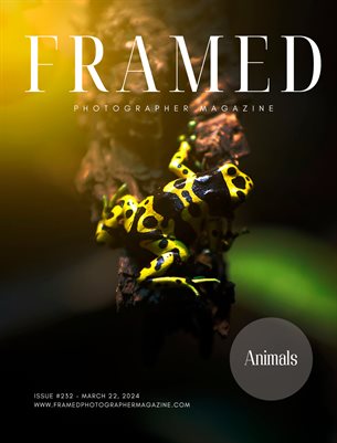 Framed Photographer Magazine | Issue 232 | Animals