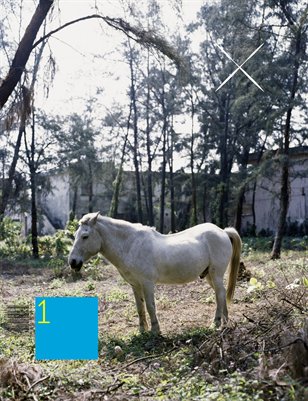 X Zine 1
