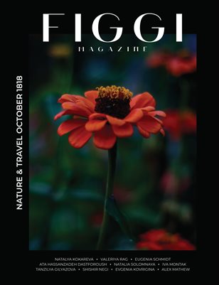FIGGI MAGAZINE - NATURE & TRAVEL OCTOBER (Vol 1818)
