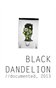 Black Dandelion // documented, 2013