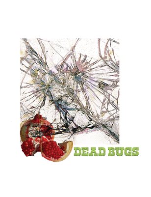 Dead Bugs