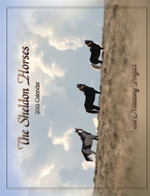 8x11 saddle stitch calendar 2015