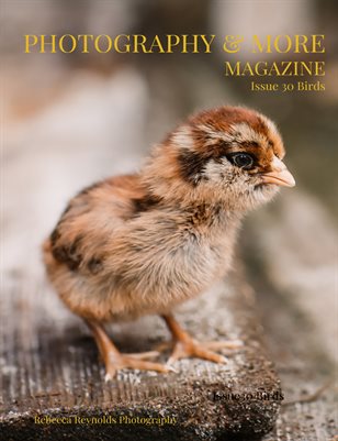 Issue 30 Birds