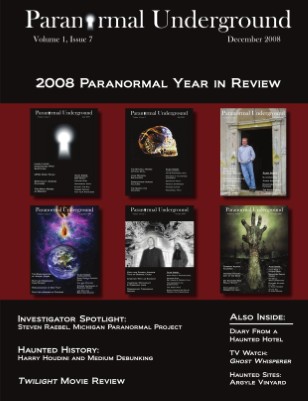 Publication preview