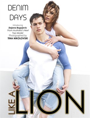 December 2013 - Like a Lion Magazine - Book 2