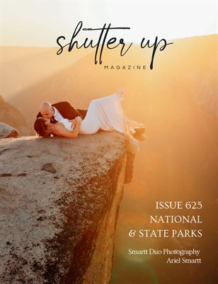 Publication preview
